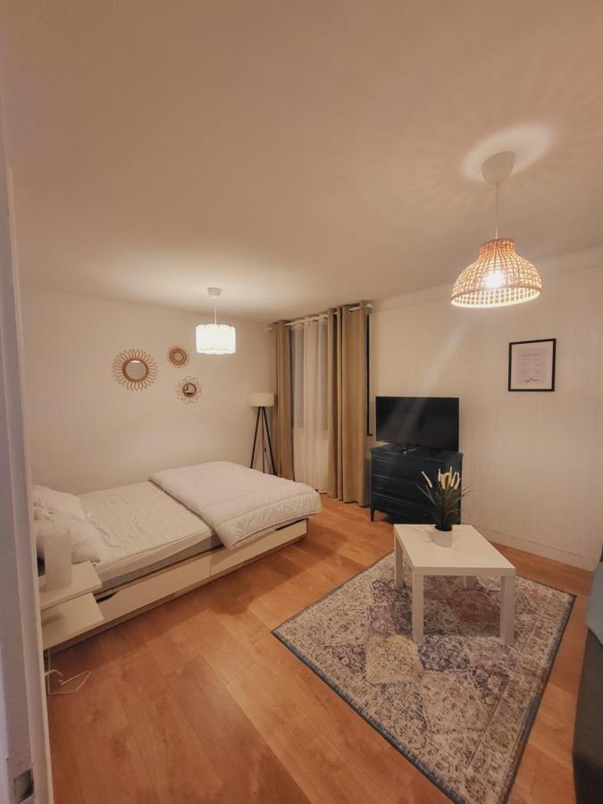 Appartement T1 Bis 35M2 Annecy Proche Centre Ville Eksteriør bilde